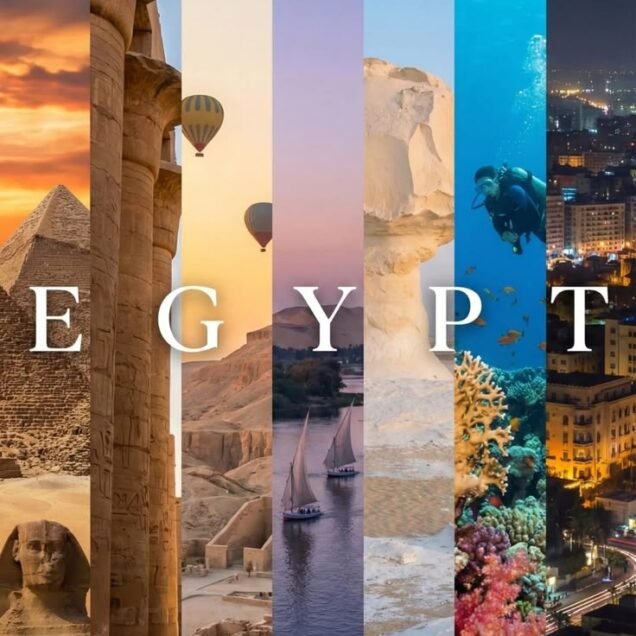 Travel Packages